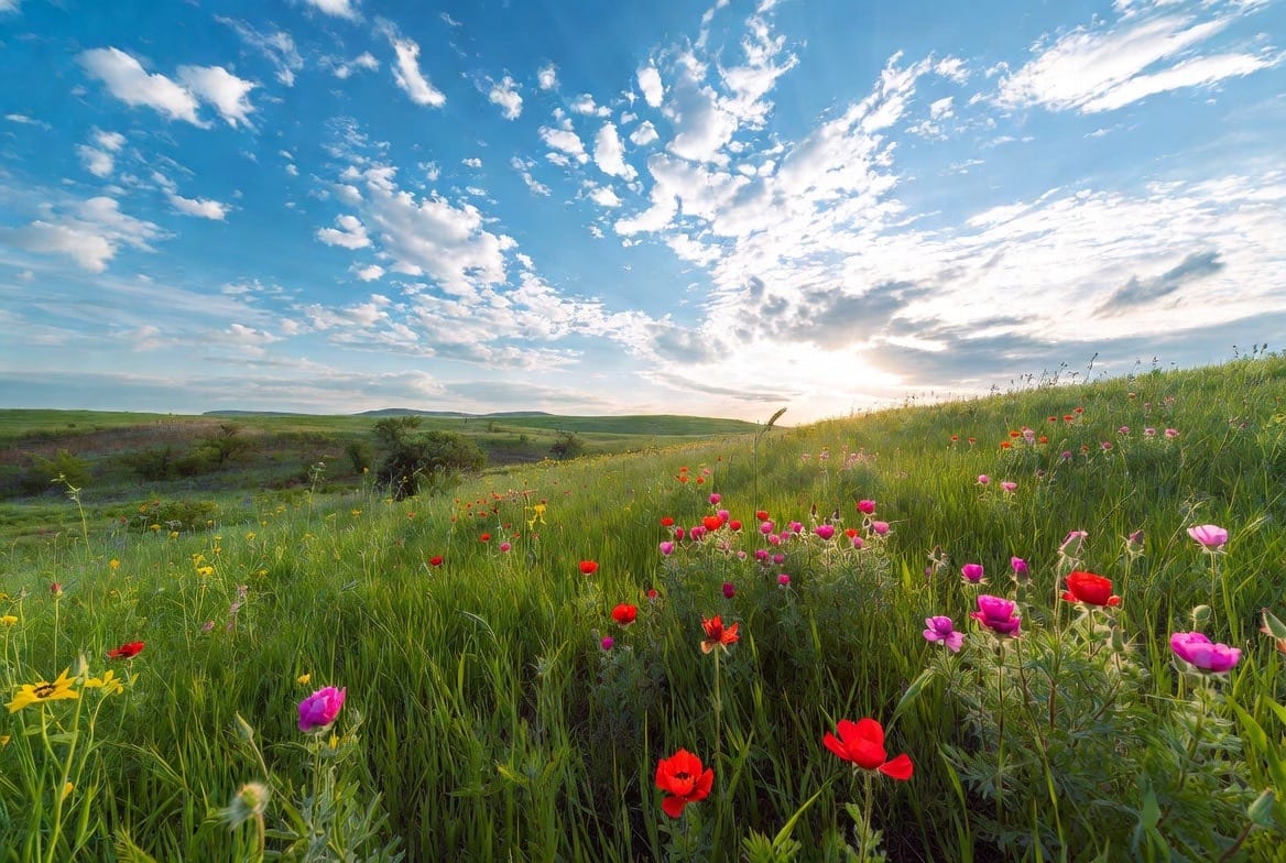 Spring Detox: What Science Says About Real Detoxification