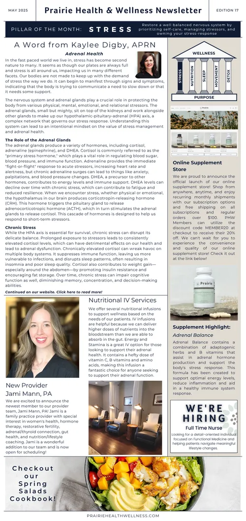 PHW Newsletter - Edition 17