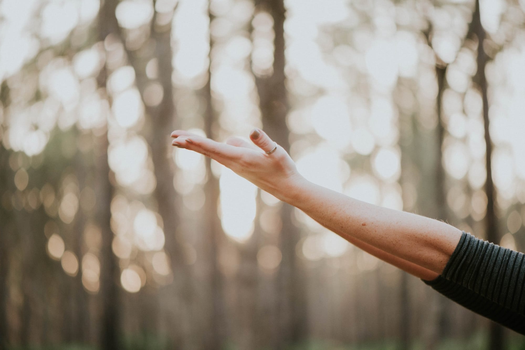 Wellness Coaching