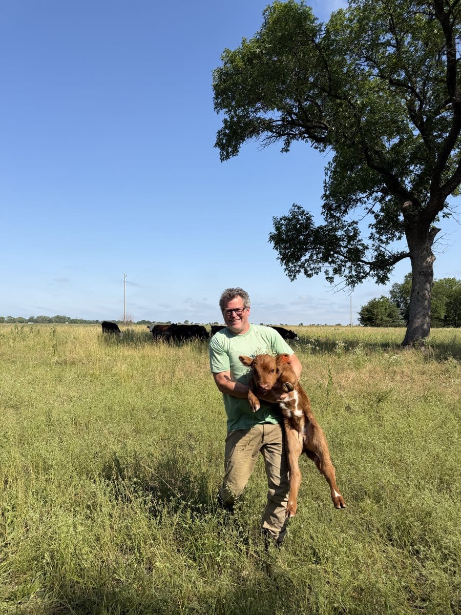 Dr. Davis in the pasture with a new calf